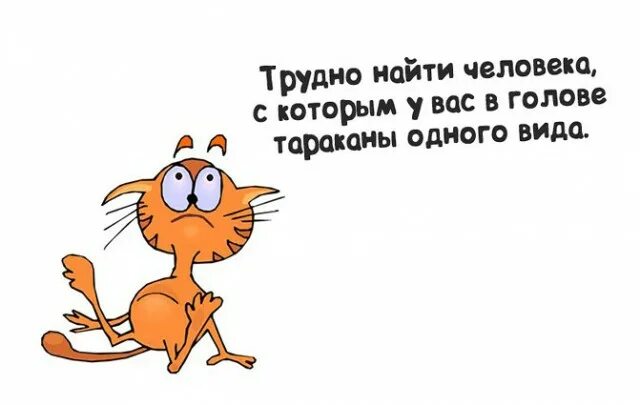 Трудно забыть легко потерять и невозможно. И пока на земле существуют мосты будут. Сложно найти главное. Приколы про тараканов в голове. Меня легко потерять и невозможно.