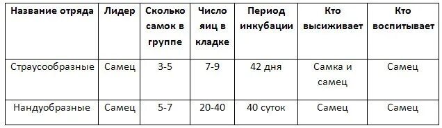 Отряды птиц таблица Страусообразные. Таблица птицы 7 класс биология отряды птиц таблица. Отряд Страусообразные представители таблица. Таблица отряды птиц Нандуобразные.