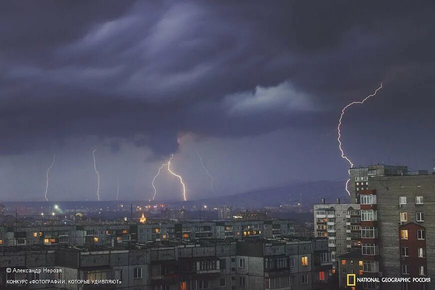 За окном всю ночь шумел ураган. Зима за окном. Дождь в окне. Дерево на ветру. Ночной шум.