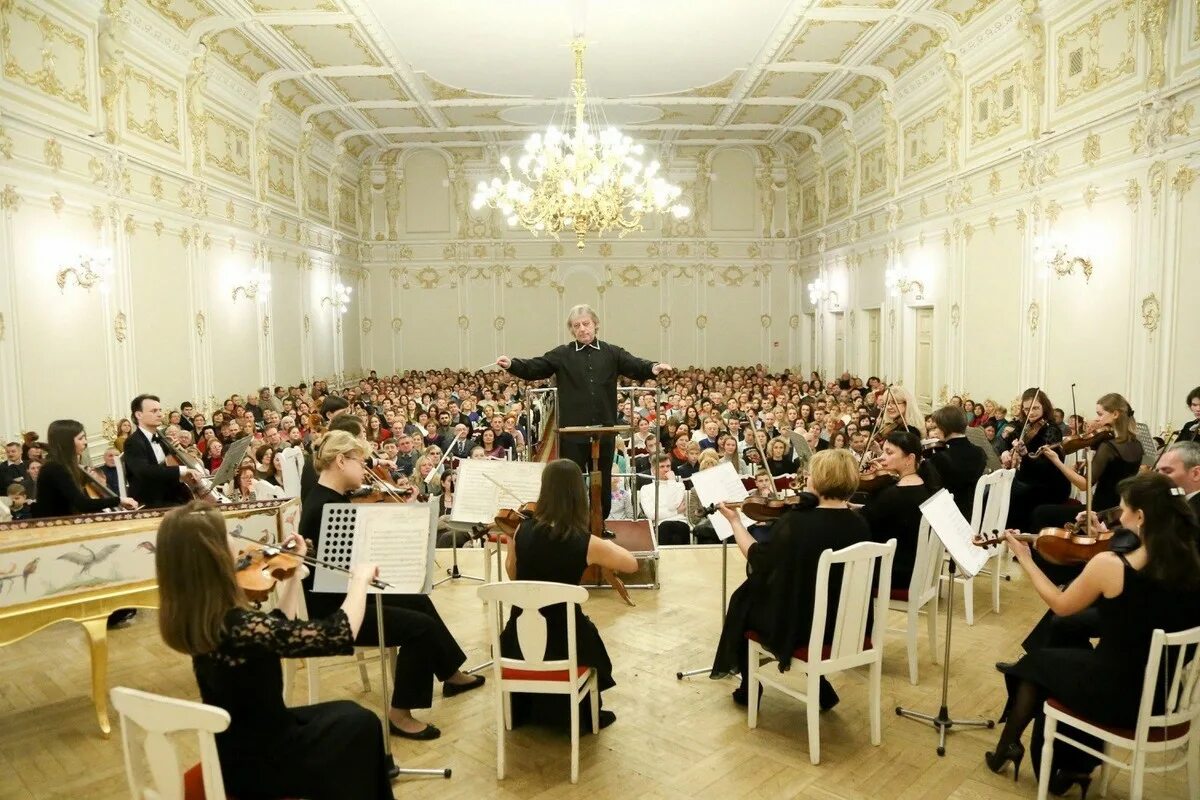 Большая филармония спб афиша. Филармония Санкт-Петербург малый зал. Филармония Шостаковича Санкт-Петербург малый зал. Малый зал филармонии СПБ. Филармония Шостаковича малый зал.