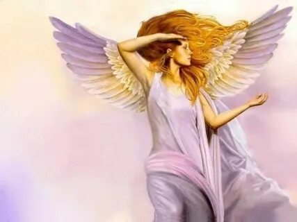 Сайты angel