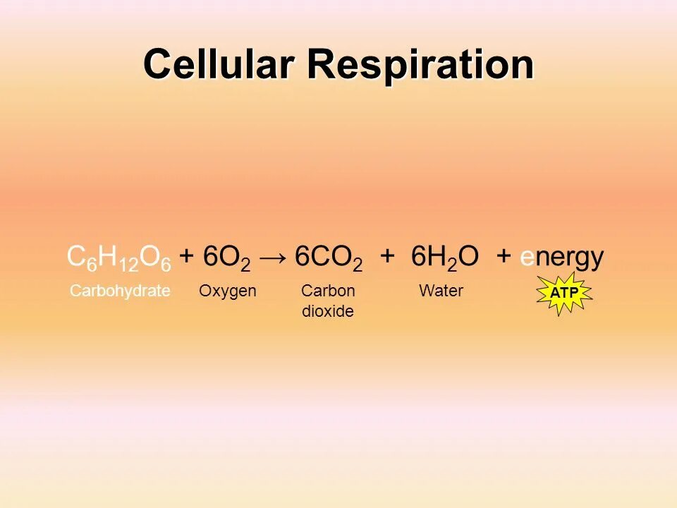 Ch 4 co2