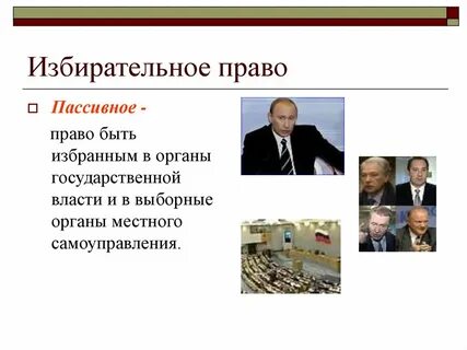 Власти избирательное право