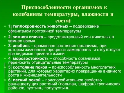 Теплокровность характерна для