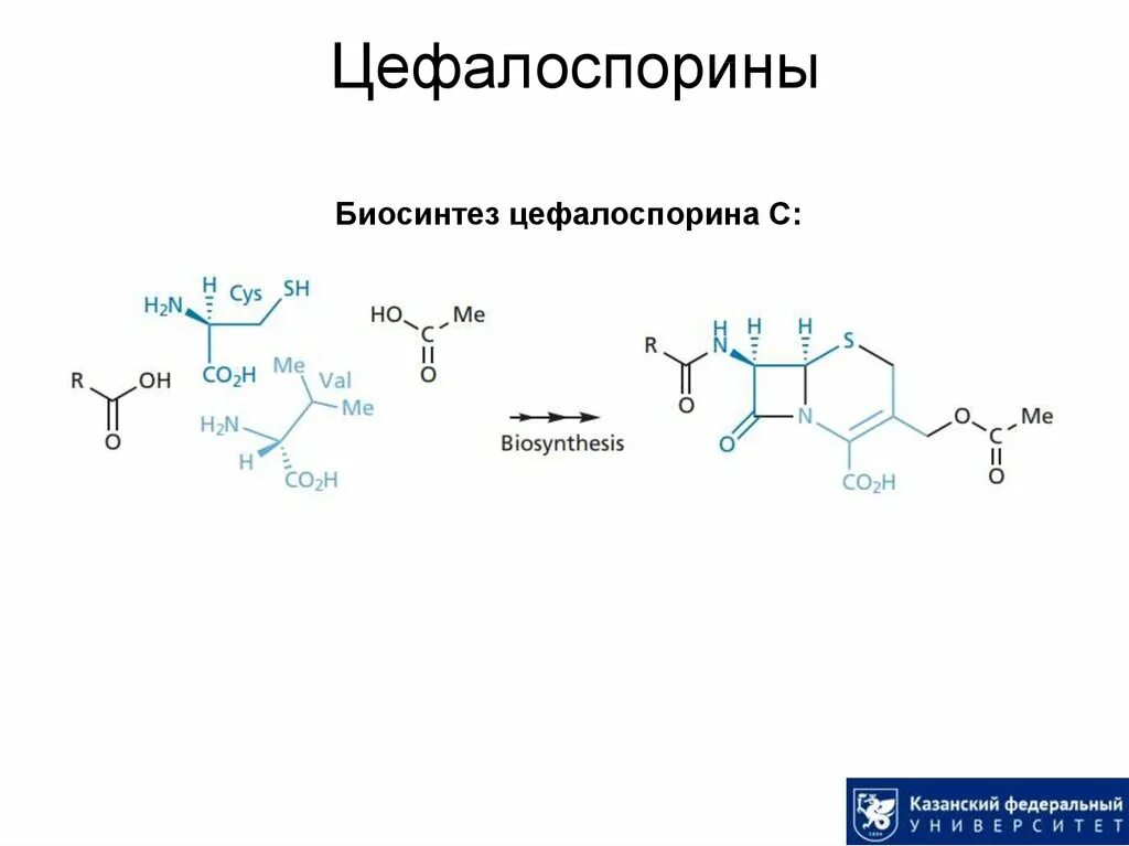 Препараты группы цефалоспоринов. Цефалоспорины II-III поколения. Классификация антибиотиков цефалоспоринового ряда. Цефалоспориновые антибиотики формулы. Антибиотики цефазолинового ряда в таблетках.