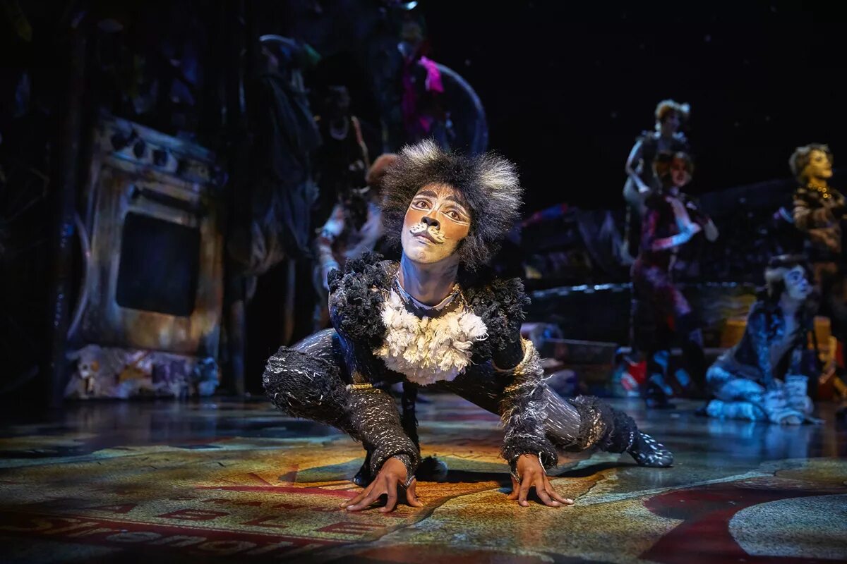 Мюзикл кошки э л уэббер. Мюзикл кошки э л уэббер. Эндрю лойд cats!. Мюзикл э. Мюзикл кошки э л уэббер.