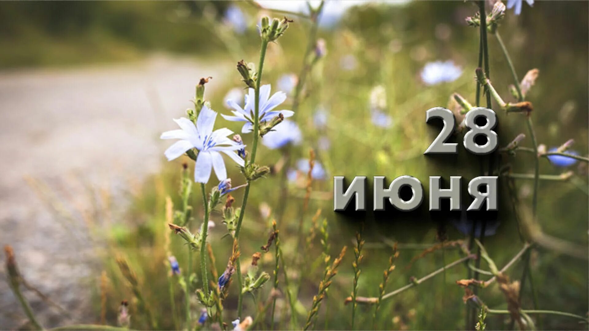 28 июнь 2013