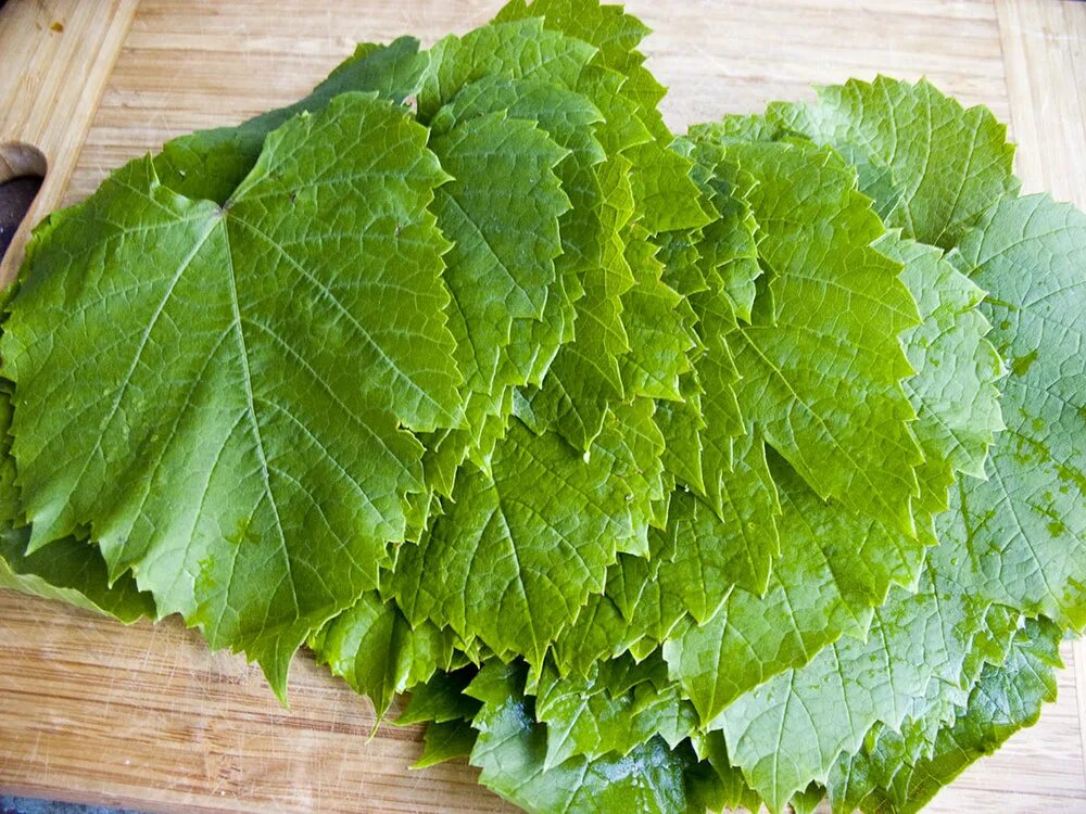 Фаршированные виноградные листья - кулинарный рецепт