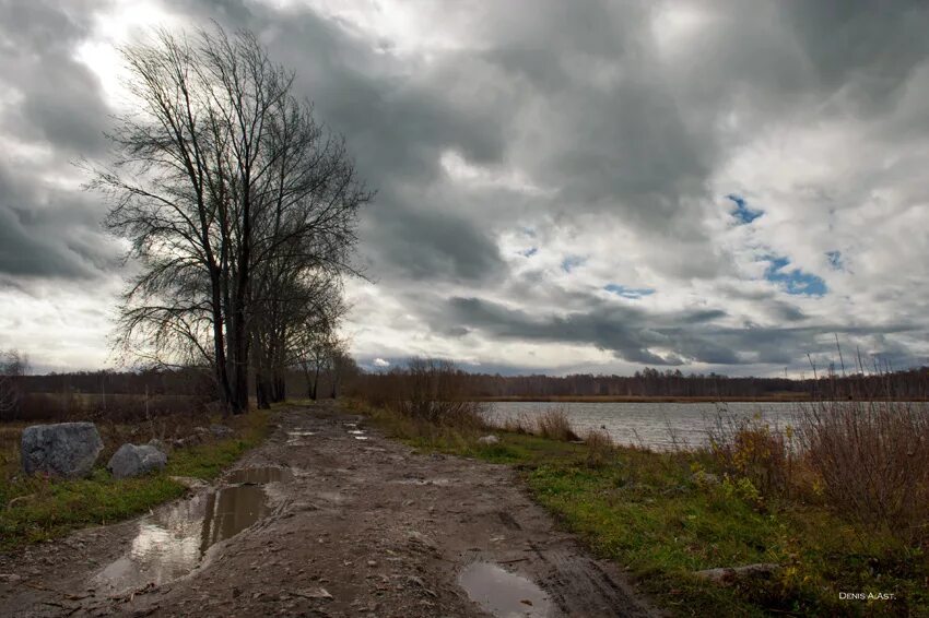 Вперед лебяжье