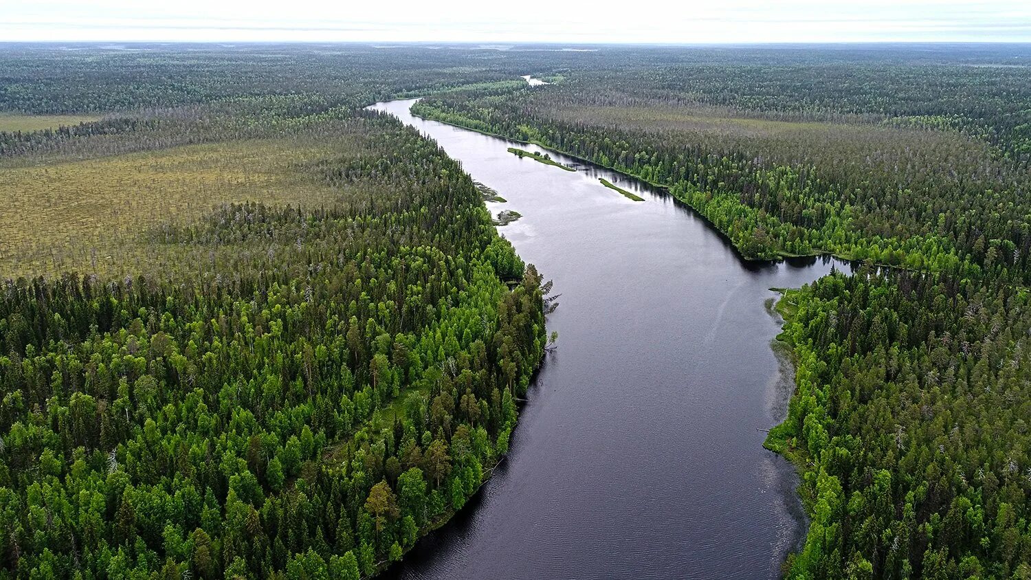 Водлозерский национальный парк. Водлозерский национальный парк Карелия. Река Илекса Карелия. Водлозерский парк Онега. Водлозерский парк сайт