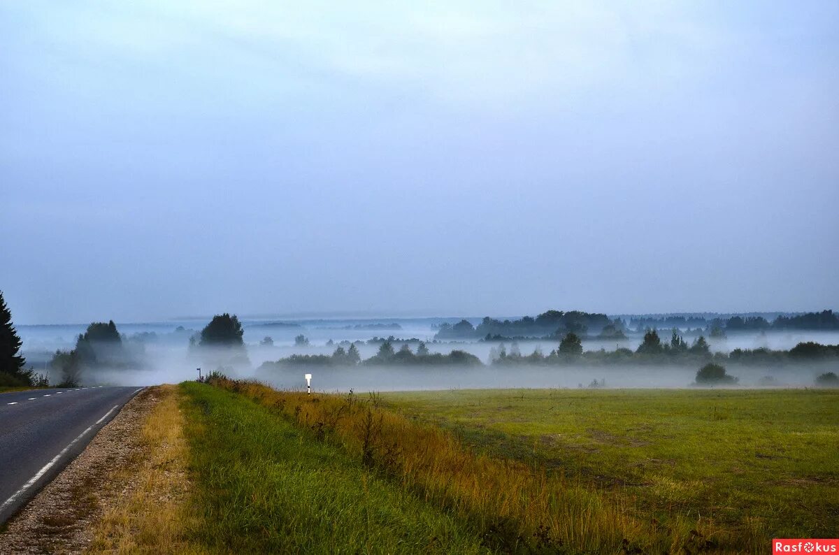 Пелена б