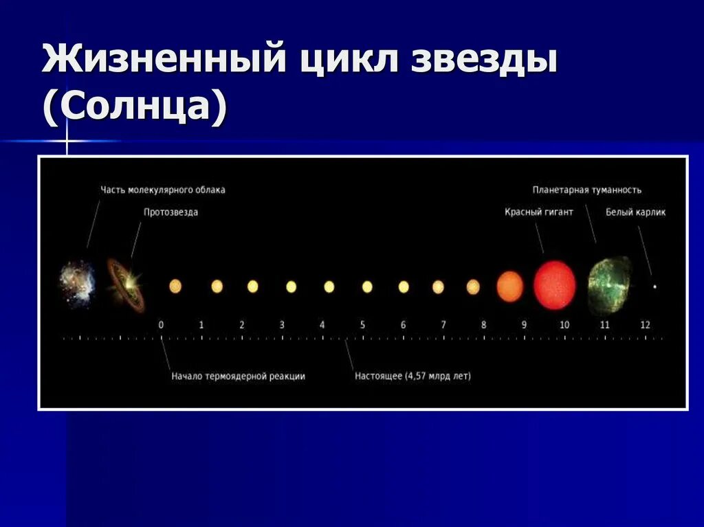 Жизненный цикл звезд схема астрономия. Стадии жизненного цикла звезды. Этапы жизненного цикла звезды. Жизненный цикл звезды солнца.