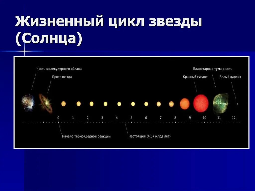 Жизненный цикл звезд схема астрономия. Стадии жизненного цикла звезды. Этапы жизненного цикла звезды. Жизненный цикл звезды солнца. 1 этап звезда