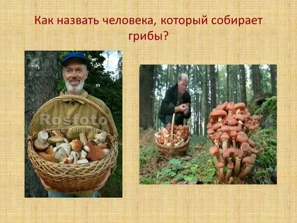 Как называется человек который все собирает