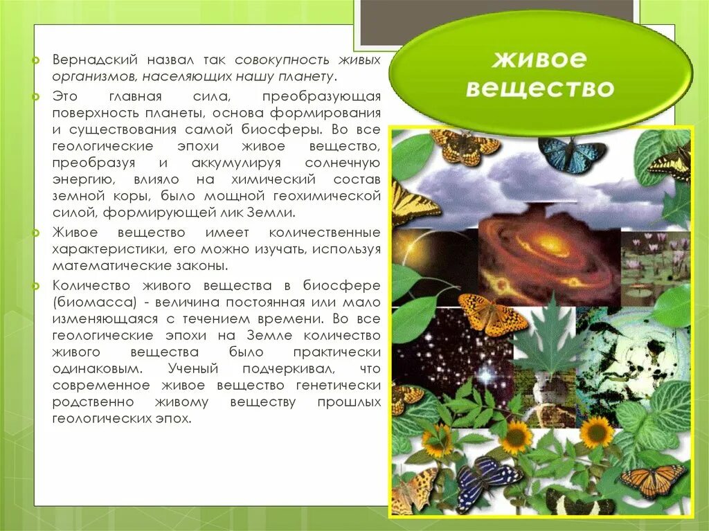 Совокупность живых организмов. Живые организмы (живое вещество).. Живое вещество Вернадский. Совокупность всех живых организмов биосферы.