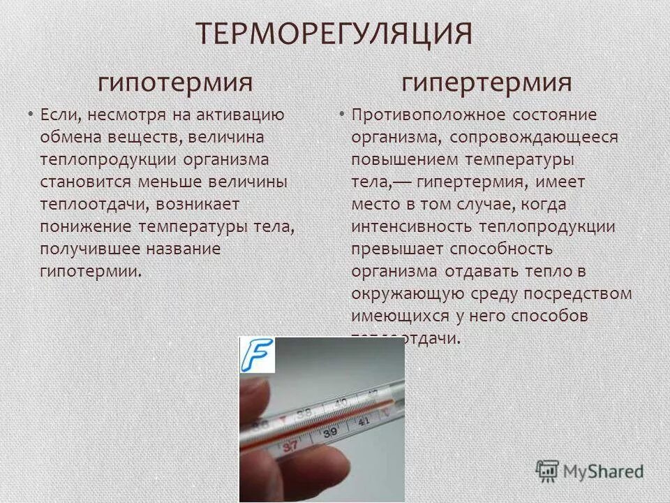 Терморегуляция тест 8 класс