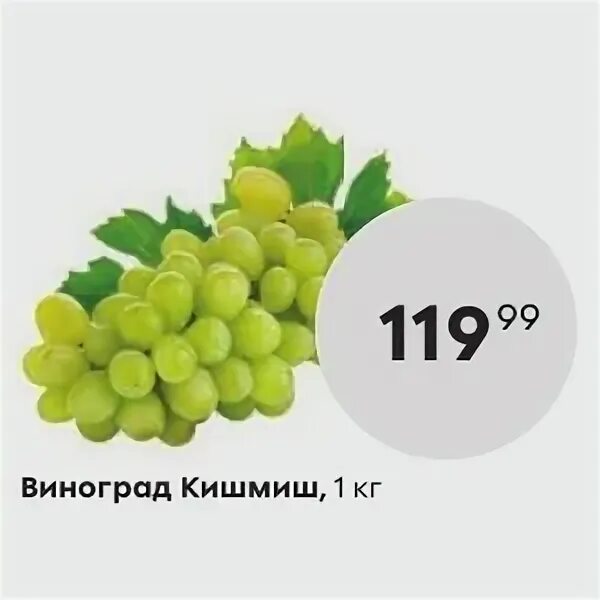 Виноград кишмиш пятерочка. Магазин кишмиш. Акция виноград кишмиш. Сорт винограда в пятерочке. Пятерочка виноград кишмиш.
