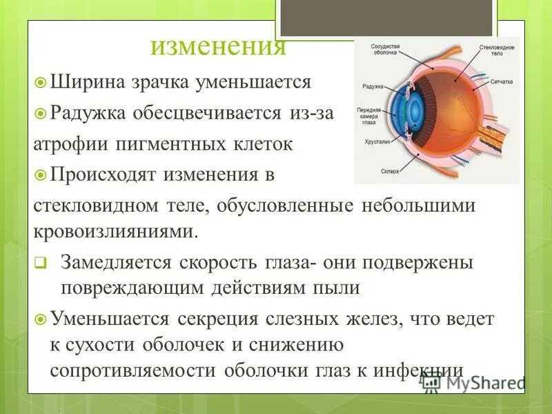 изменение зрачков