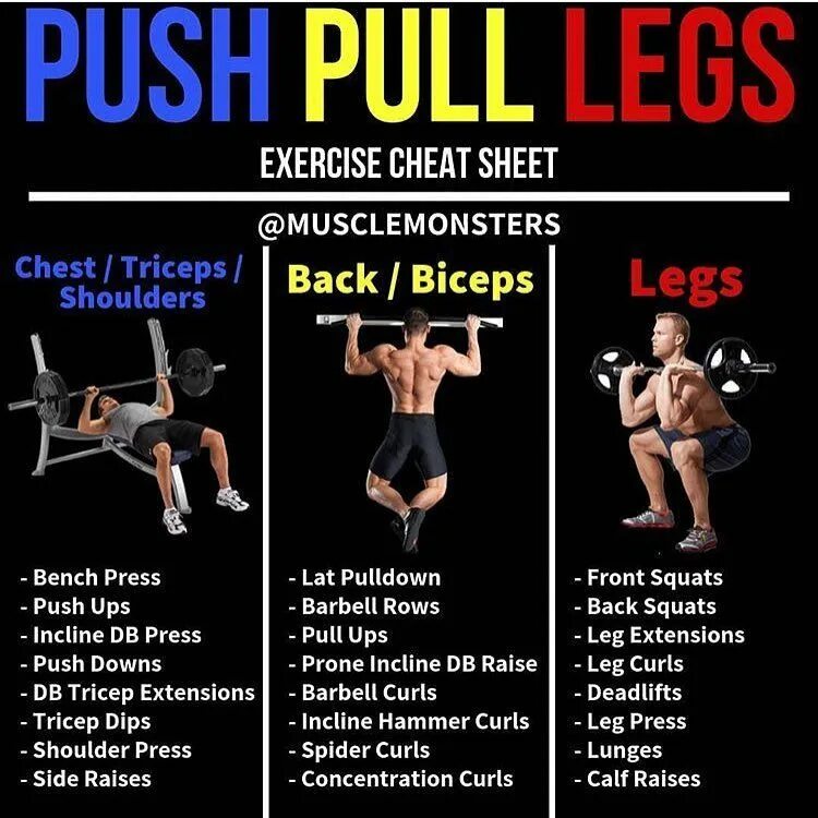 Push Pull тренировка. Push Pull Legs Workout. Программа тренировки body Pump. Push Pull Legs программа тренировок. Workout plan