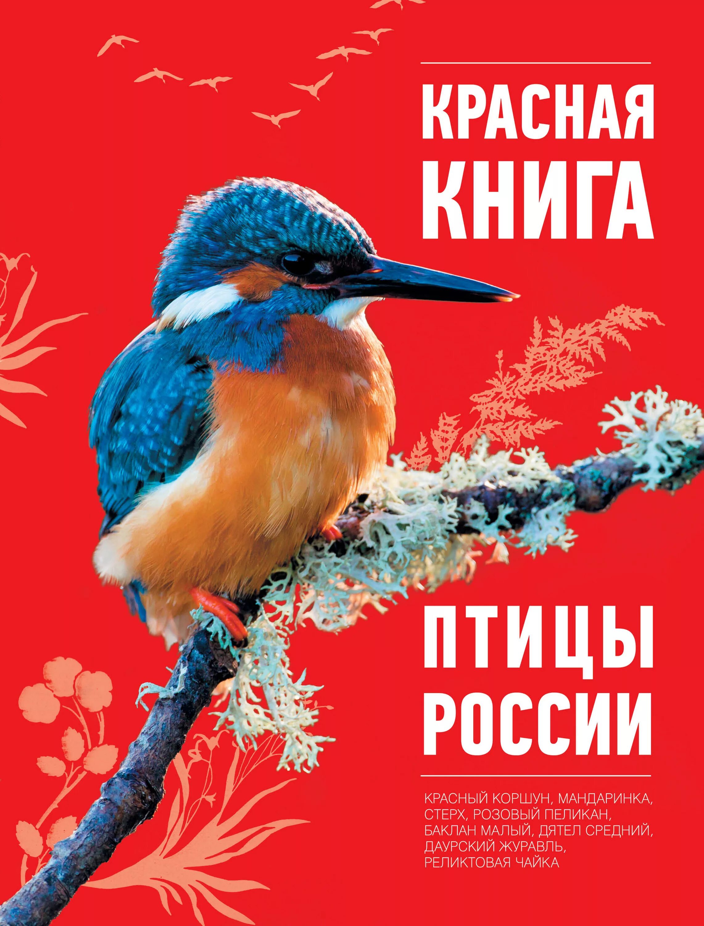 Птицы внесенные в красную книгу. Птицы красной книги. Птицы красной книги России.