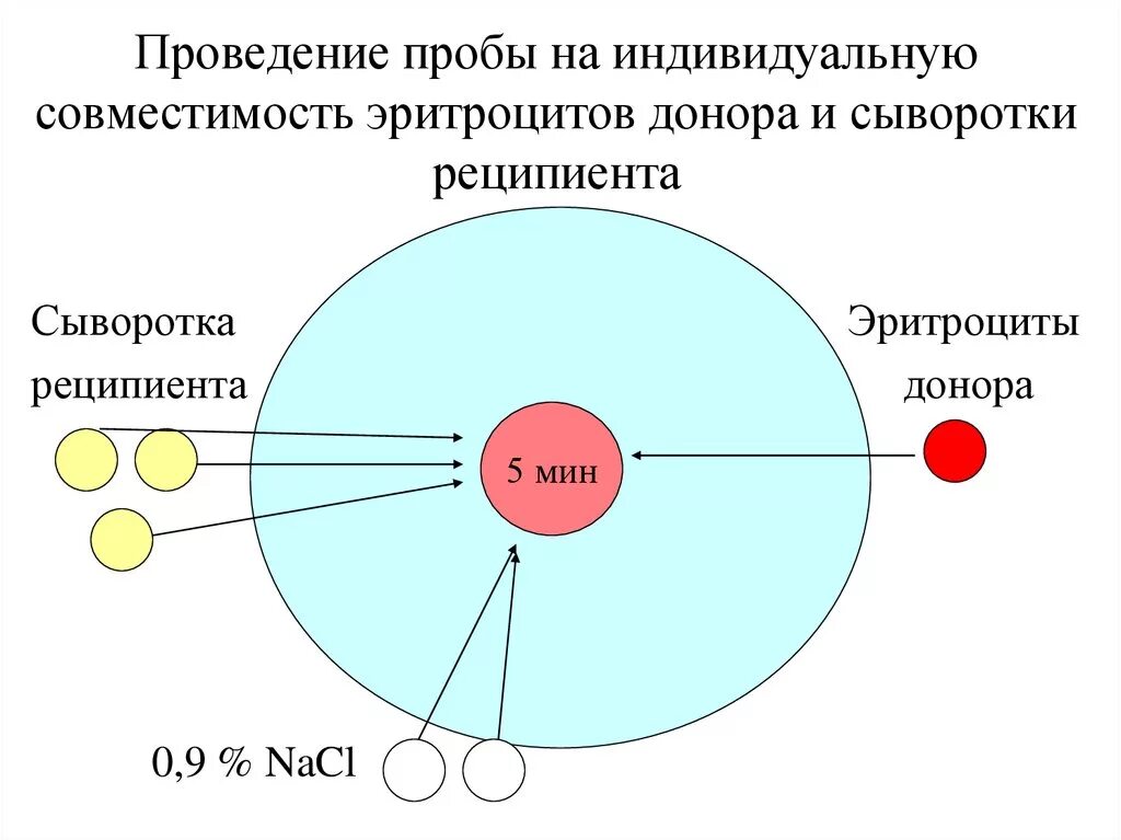 Совместимые доноры крови. Определение индивидуальной совместимости крови донора и реципиента. Проба на индивидуальную совместимость. Проведение пробы на индивидуальную совместимость по резус-фактору. Проведение проб на совместимость донора и реципиента.