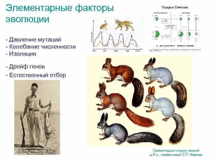 Изоляция эволюционный фактор таблица. Элементарные революционные факторы. Таблица по биологии 9 класс элементарные эволюционные факторы. Элементарные эволюц факторы.