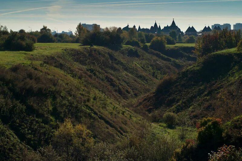 Низина леса. Парк Коломенское овраг. Коломенское Велесов овраг. Коломенский парк голосовой овраг. Парк Коломенское голосов овраг.