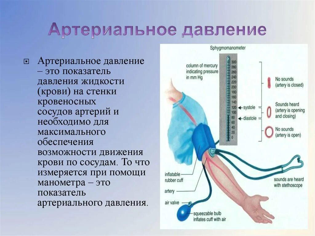 Артириально ЕДАВЛЕНИЕ. Артериальное кровяное давление. Измерение давления крови. Кровяное давление и артериальное давление.