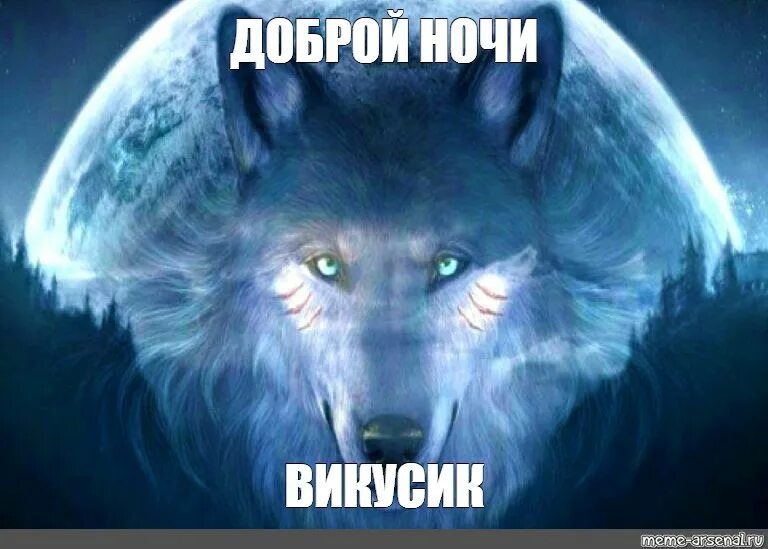 Волкова только одна ночь ошибка прокурора. Доброй ночи волк. Волк Мем. Спокойной ночи волк Мем. Мемы с волками спокойной ночи.