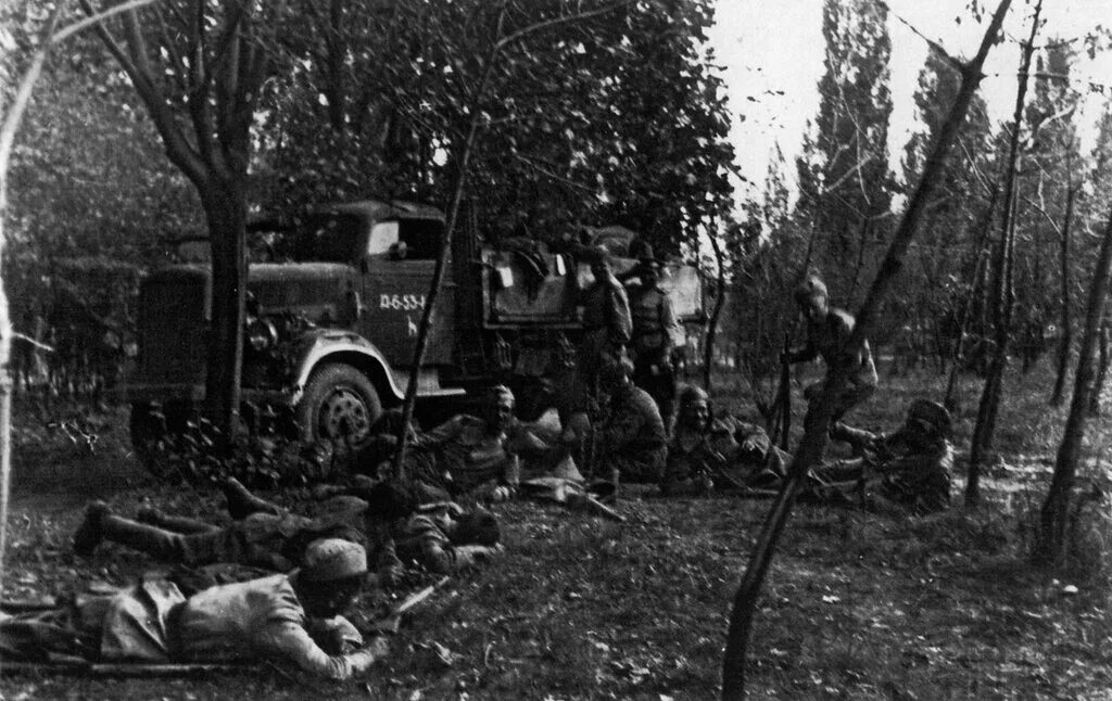Белградская операция 1944. Освобождение Югославии 1944. Освобождение Белграда, октябрь 1944 года.