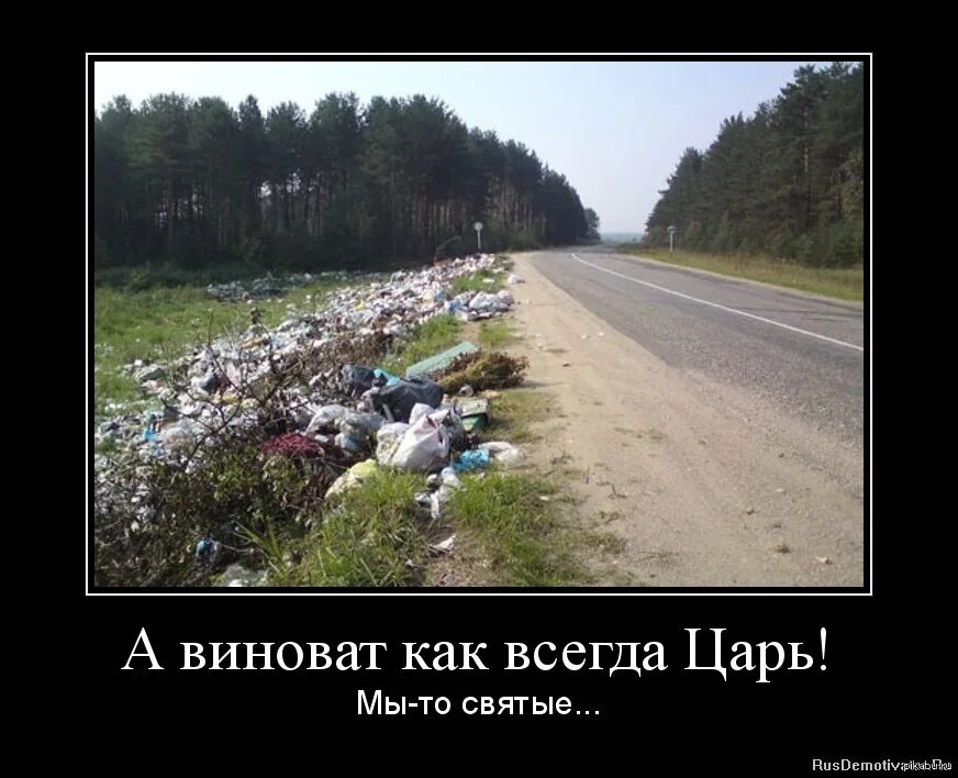Должен должен виноват виноват виноват твоя. Ты во всем виноват. Смешной виноватый кот. Неизвестные стихи. Должен должен виноват виноват виноват твоя.
