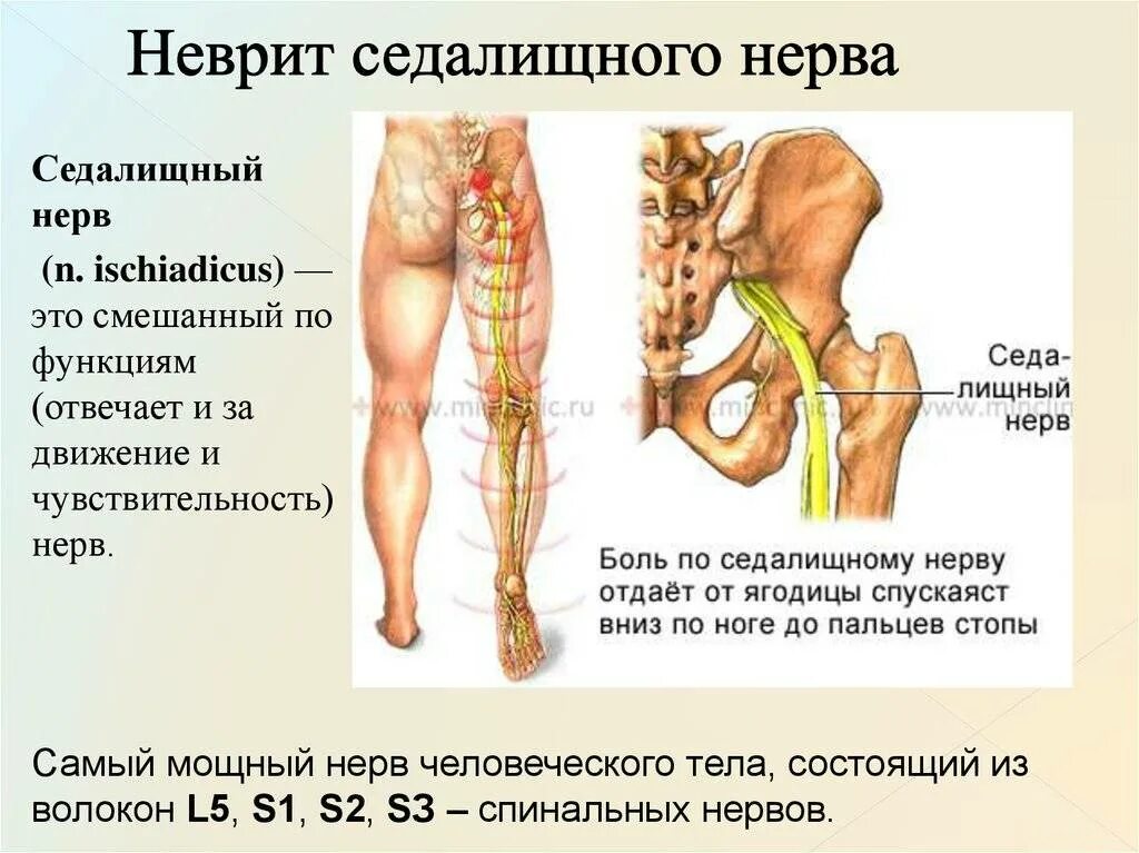 Пояснично крестцовый отдел отдает в ногу