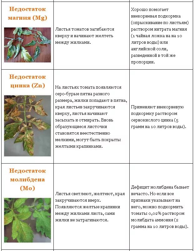 Нехватка микроэлементов у томатов. Недостаток элементов питания у томатов по листьям. Томаты. Таблица болезни листьев. Таблица нехватка элемента и заболевание.