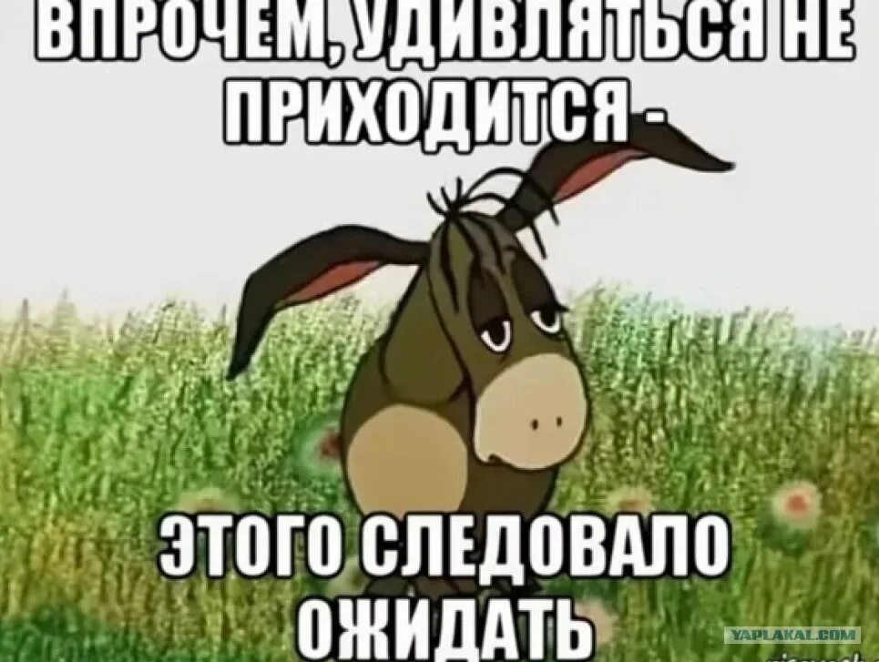 Следовать прийтись