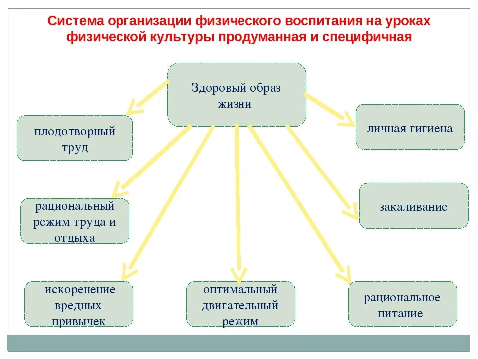 Школы жизни через жизнь. Воспитание здорового образа жизни. Формирование здорового образа жизни. Формирование культуры здорового образа жизни. Формы и методы формирования ЗОЖ.