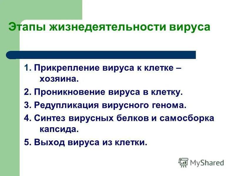 Особенности строения и жизнедеятельности вирусов 5 класс. Этапы жизнедеятельности вируса. 1. Этапы жизнедеятельности вируса. Процессы жизнедеятельности вирусов кратко.