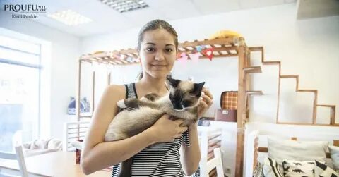 Приют для кошек уфа