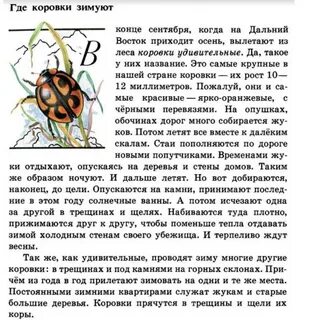 Страницы рассказ солнышко