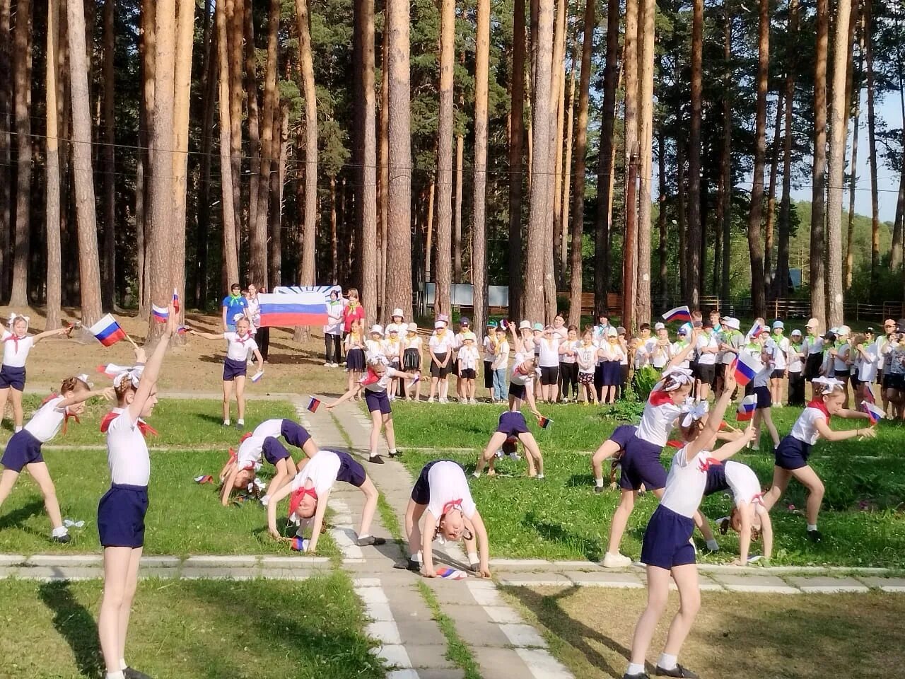 Лагерь буревестник отзывы. Лагерь в Сысерти Буревестник 2023. Буревестник Екатеринбург лагерь. Дол Буревестник Сысерть. Буревестник Екатеринбург лагерь Сысерть.