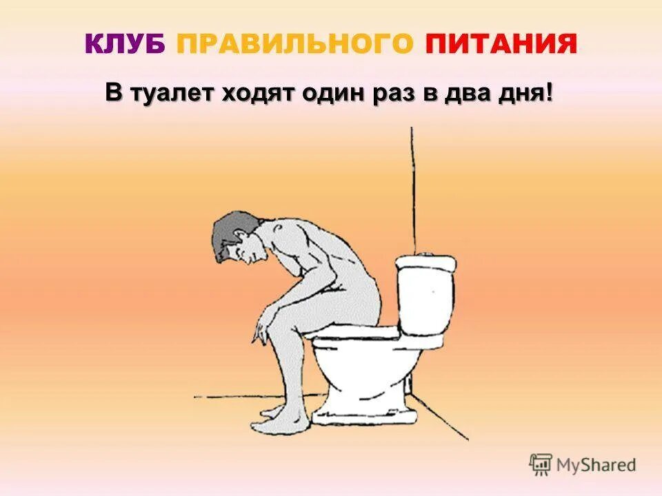 Не хожу в туалет по маленькому причины. Правильная поза для туалета. как правильно ходить в туалет. как правильно ходить в туалет по большому. правильная поза для дефекации.