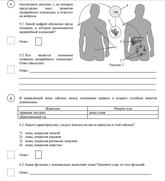 Впр биология 7 класс демоверсия линейная