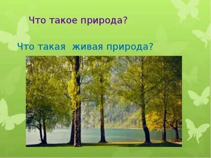 Обобщающая природа