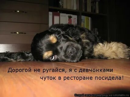 Не ссорьтесь на дороге