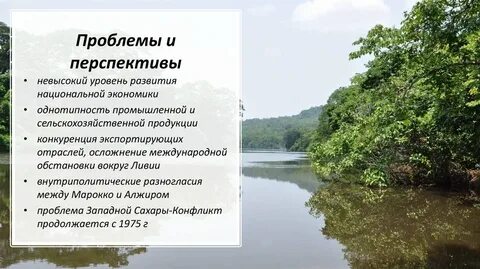 Союз проблемы