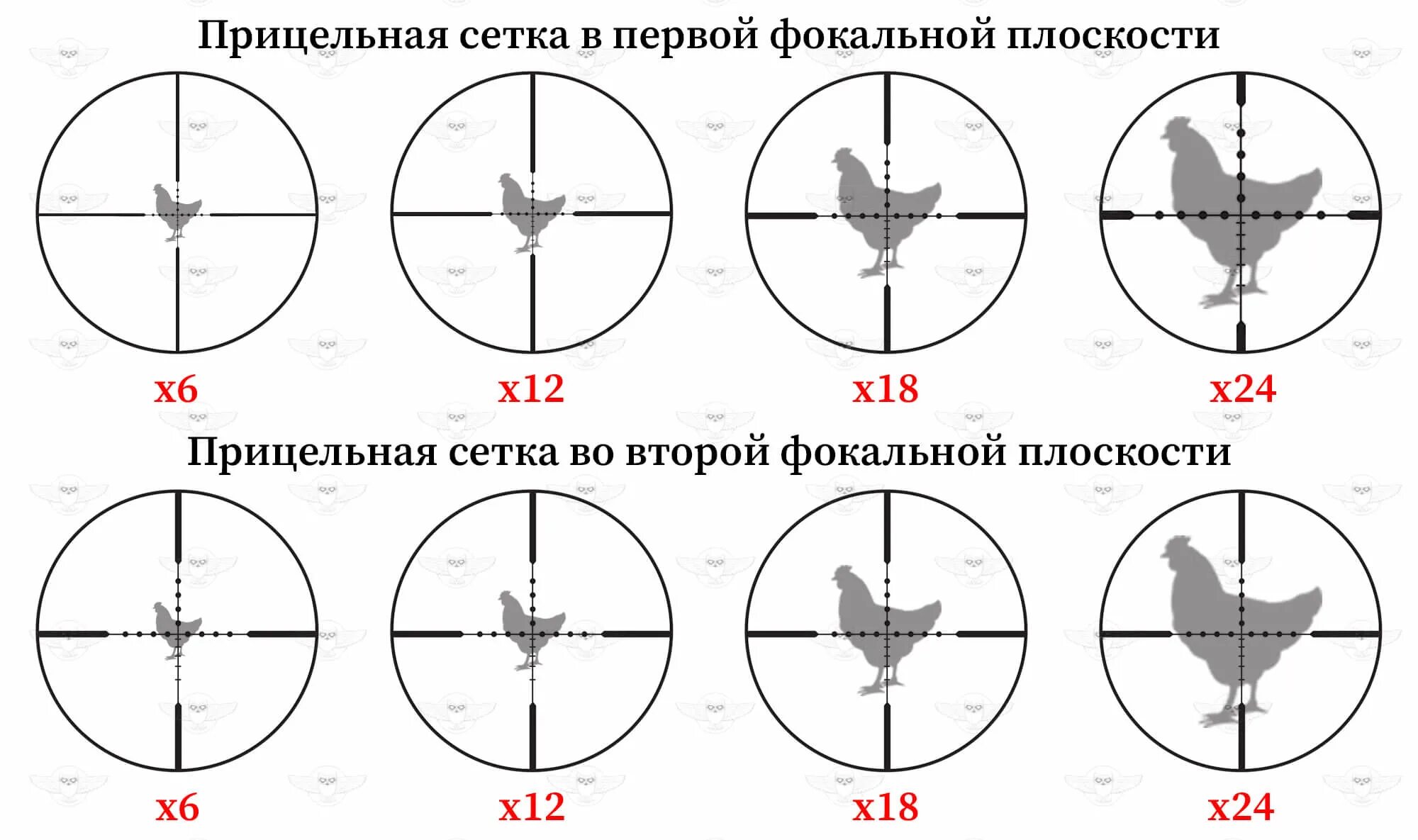 Как отличить 1 2 от 3 4