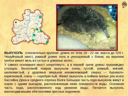 Липецкая красная книга