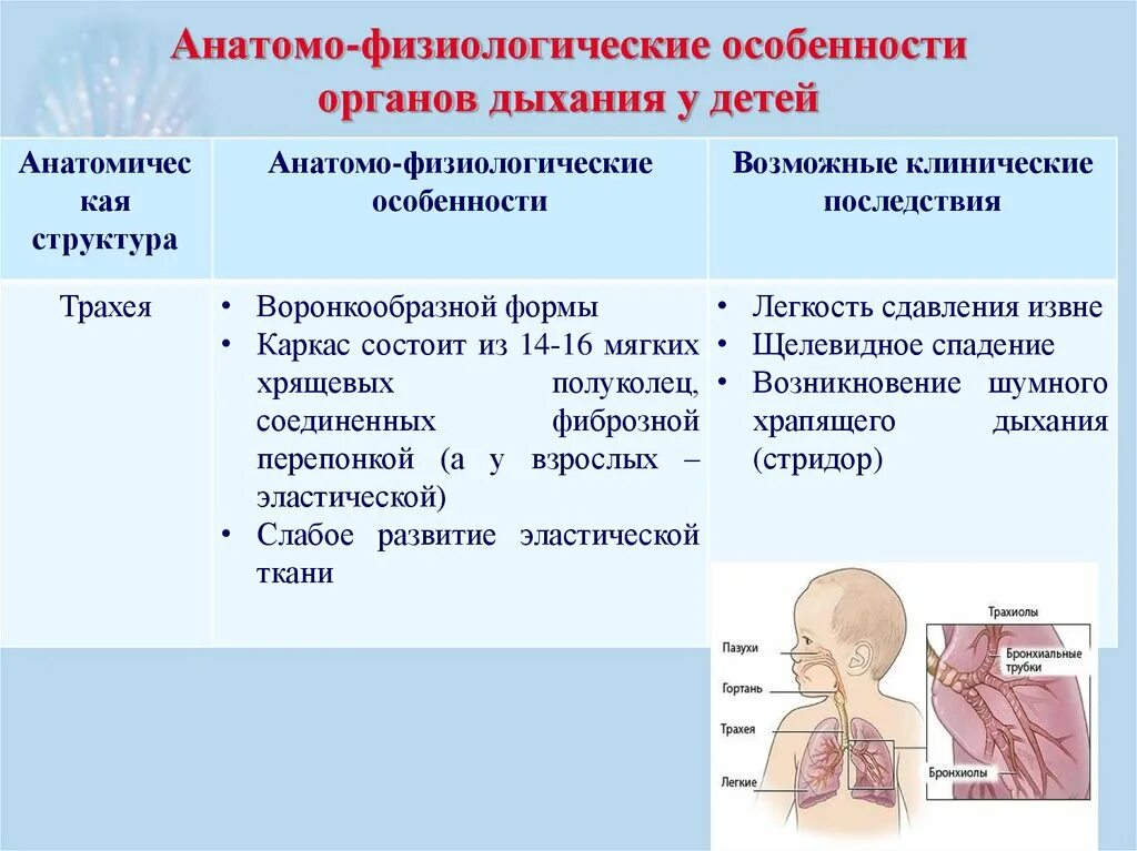 Анатомо функциональные изменения