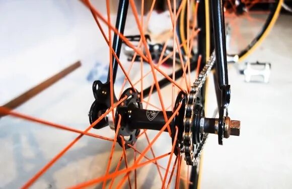 Как поменять спицы на заднем колесе велосипеда Campagnolo Shamal Ultra (na opony) : Komponenty : Katalog Rowerowy bikeKatalog.p