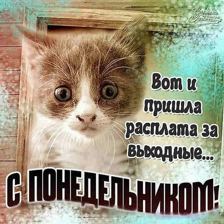С понедельником картинки. Открытки с понедельником прикольные. Доброе утро понедельника прикольные. С добрым утро понкдкльника. Открытки и снова понедельник.