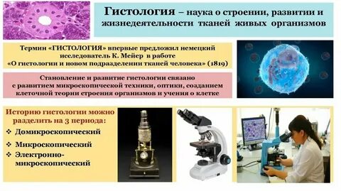 Наука это общее образование